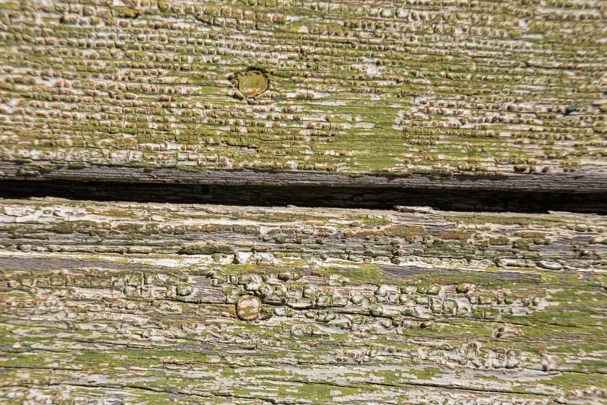 Weathered wood with peeling green paint