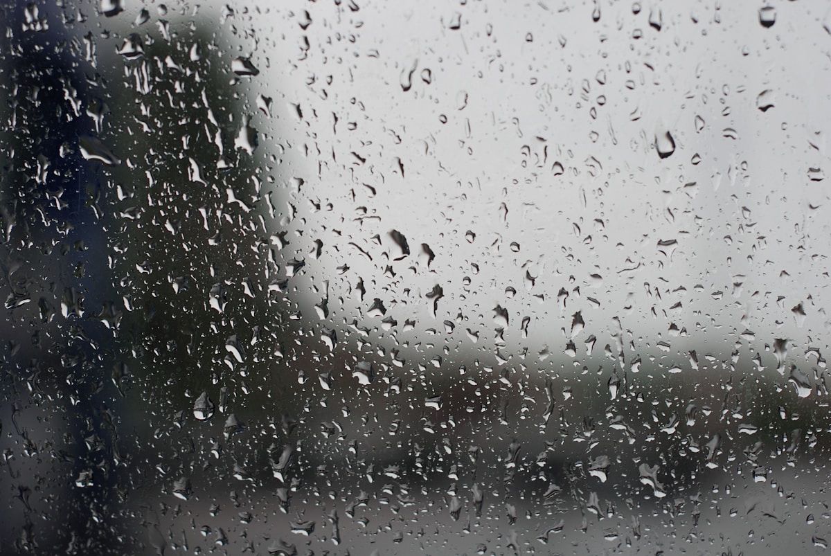 raindrops on a window