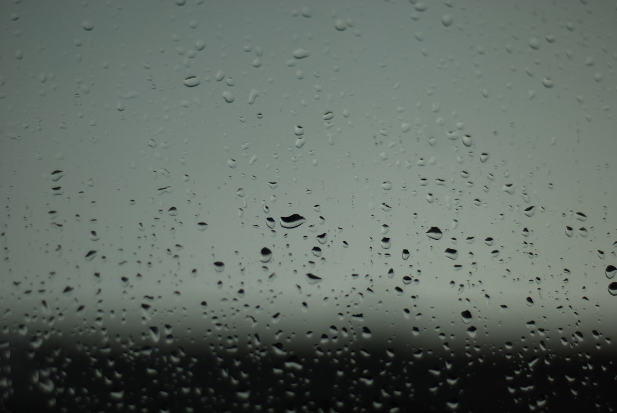 raindrops on a window