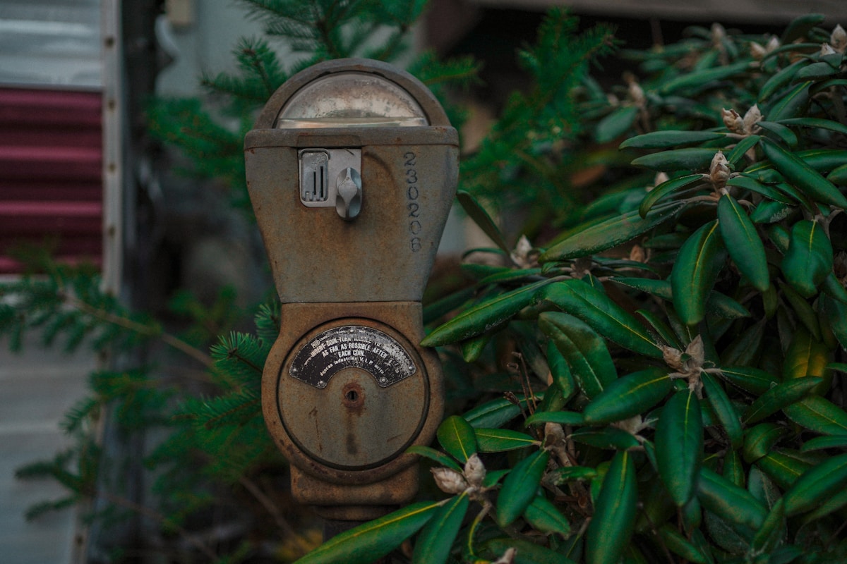 Ancien compteur de monnaie rouillé dans la végétation luxuriante.